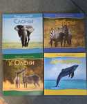 Комплект книг Животные, первое знакомство. Зебры,слоны,дельфины, олени