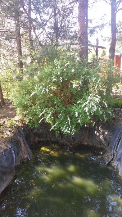 Ogródek działkowy ROD Grodziec