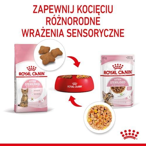 Karma w galaretce dla kociąt po sterylizacji, kastracji RoyalCanin 85g