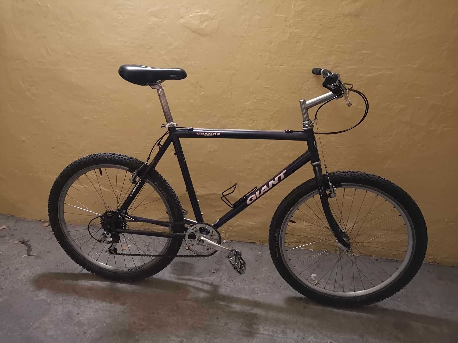 Giant Granite - Retro MTB