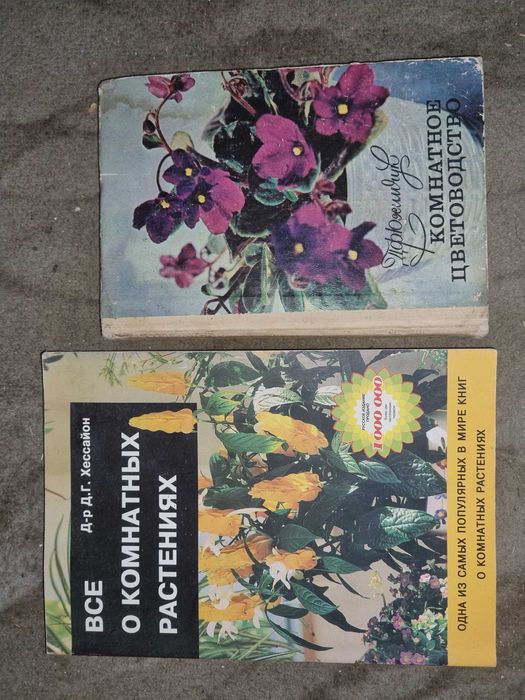 Комнатное цветоводство.  Все о комнатных растениях. Хессайон