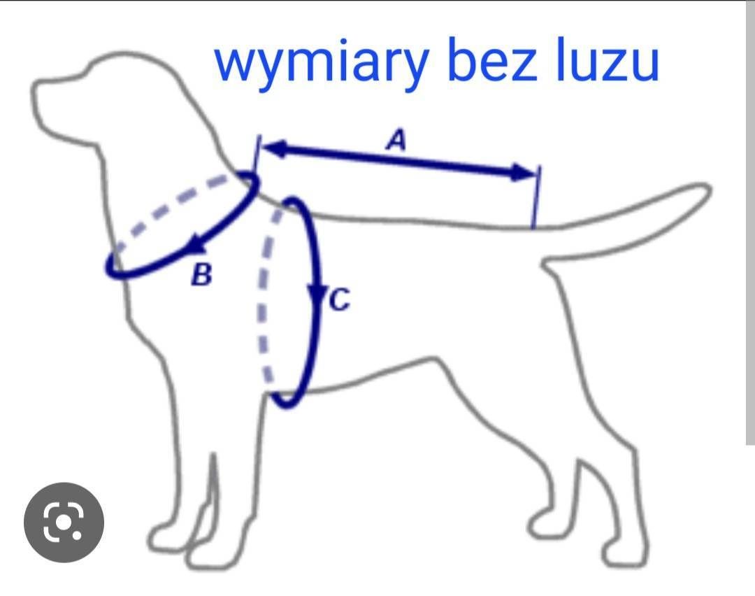 Dresik welurowy dla psa pudel.grzywacz york na miare