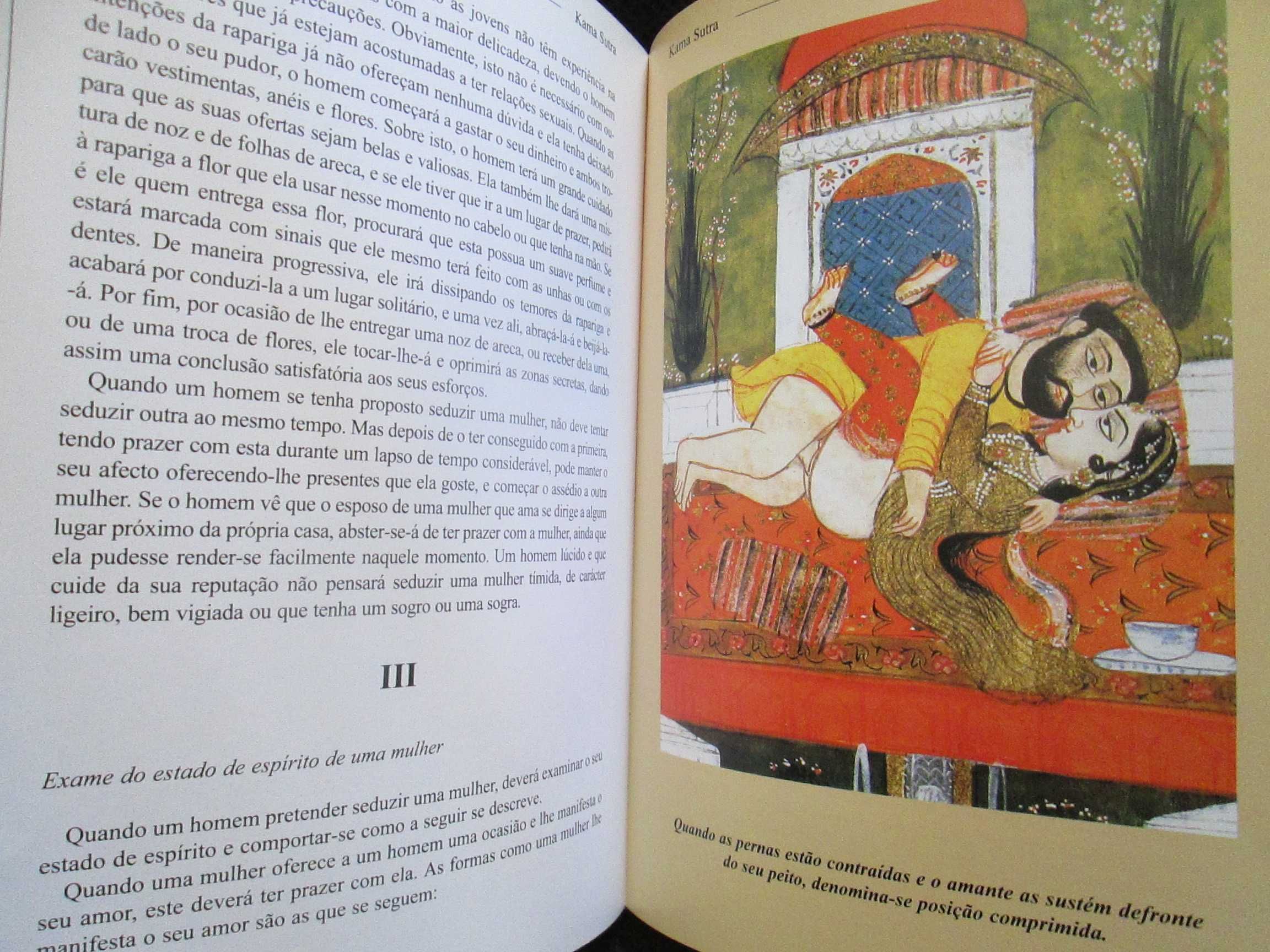 Kama Sutra, edição especial ilustrada, como novo