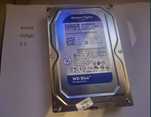 dysk twardy Western Digital WD Blue PC Drive o pojemności 500 GB