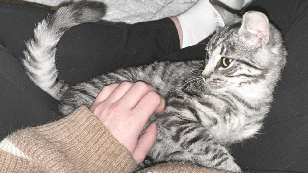 Mają 5 miesięcy i pilnie szukają domu! Mają coraz mniej czasu.