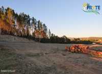 Terreno para Construção situado em Boeiro - Sertã