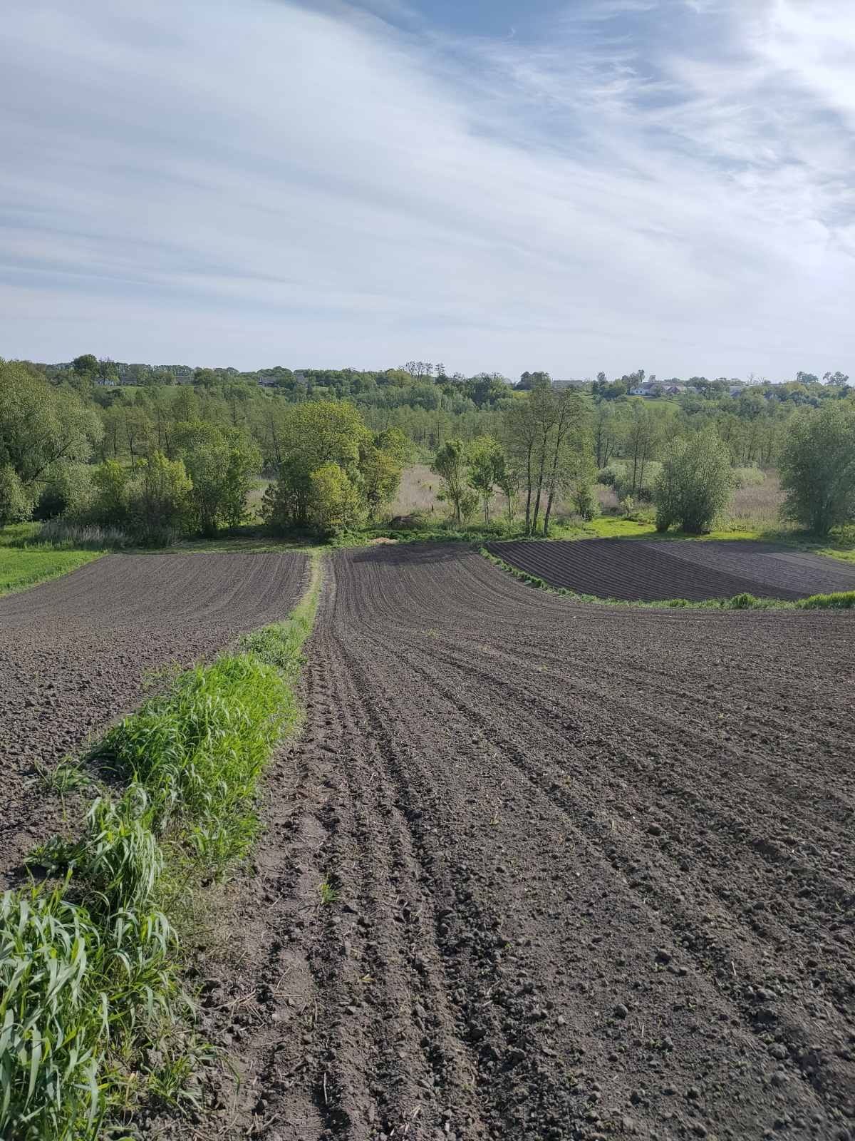 Продам будинок с.Поправка Білоцерківського району