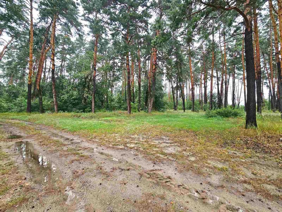 Ділянка з дачним будинком 25 соток  Комарівка Ліс