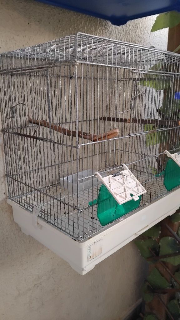Gaiolas para aves