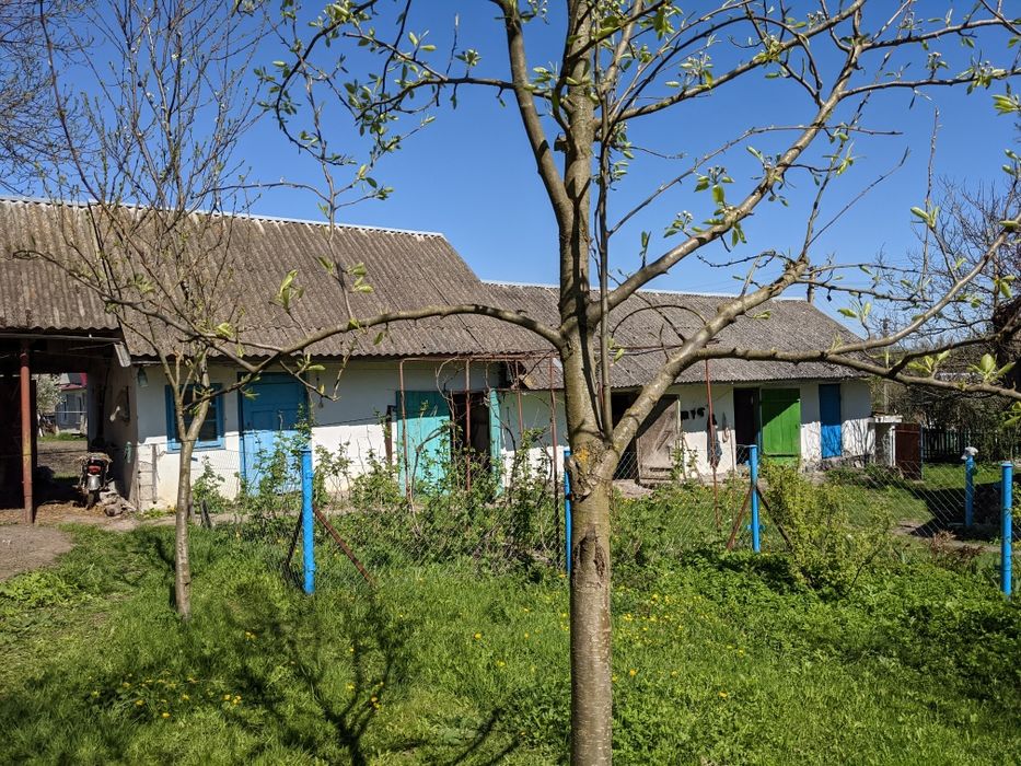 Будинок, присадибна ділянка та город