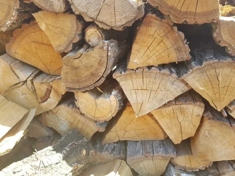 Sezonowane drewno kominkowe i opałowe z dowozem
