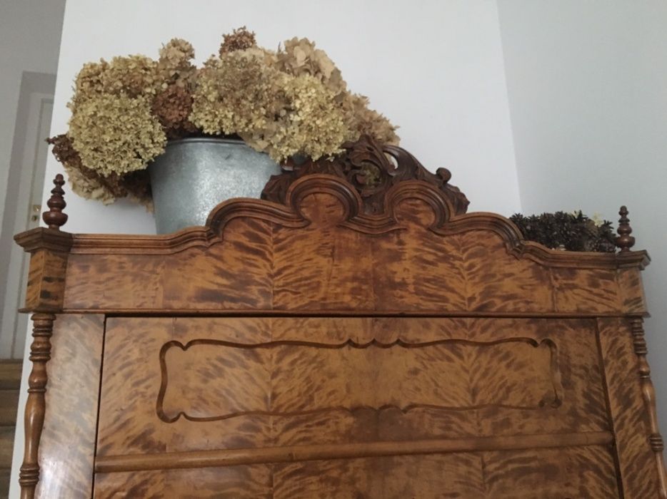 Szafa Ludwik Brzoza Płomienista unikat