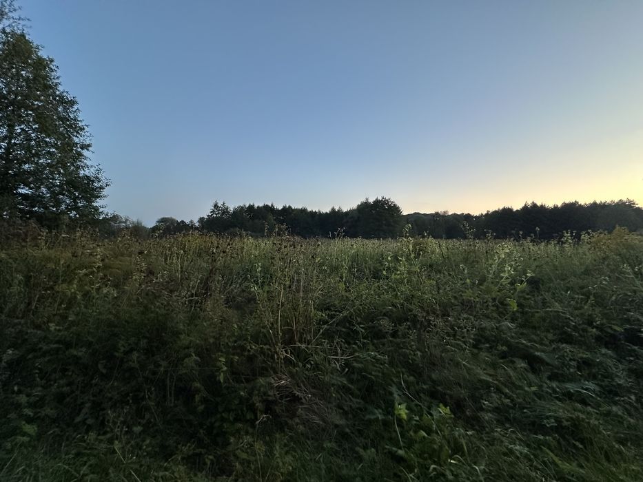 Działka 55 arów Kończyce woj. małopolskie