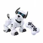 Robopies. Dumel Discovery