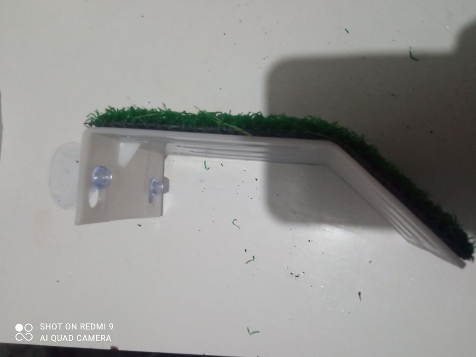 Plataforma/rampa aquário tartarugas