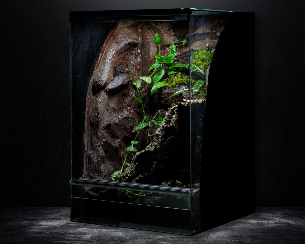 Terrarium 40x40x60