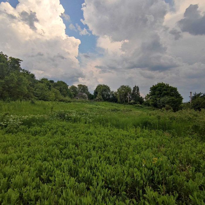 Дачний будинок із копанкою біля озера