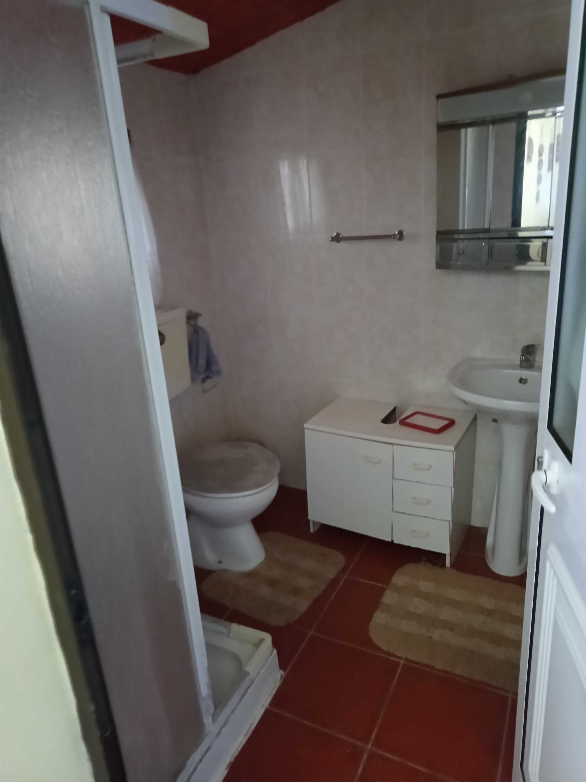 Quinta com casa, terrenos e pinhais