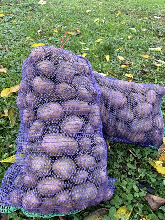 Картопля (з доставкою)