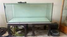 Aquario de 500 litros completo