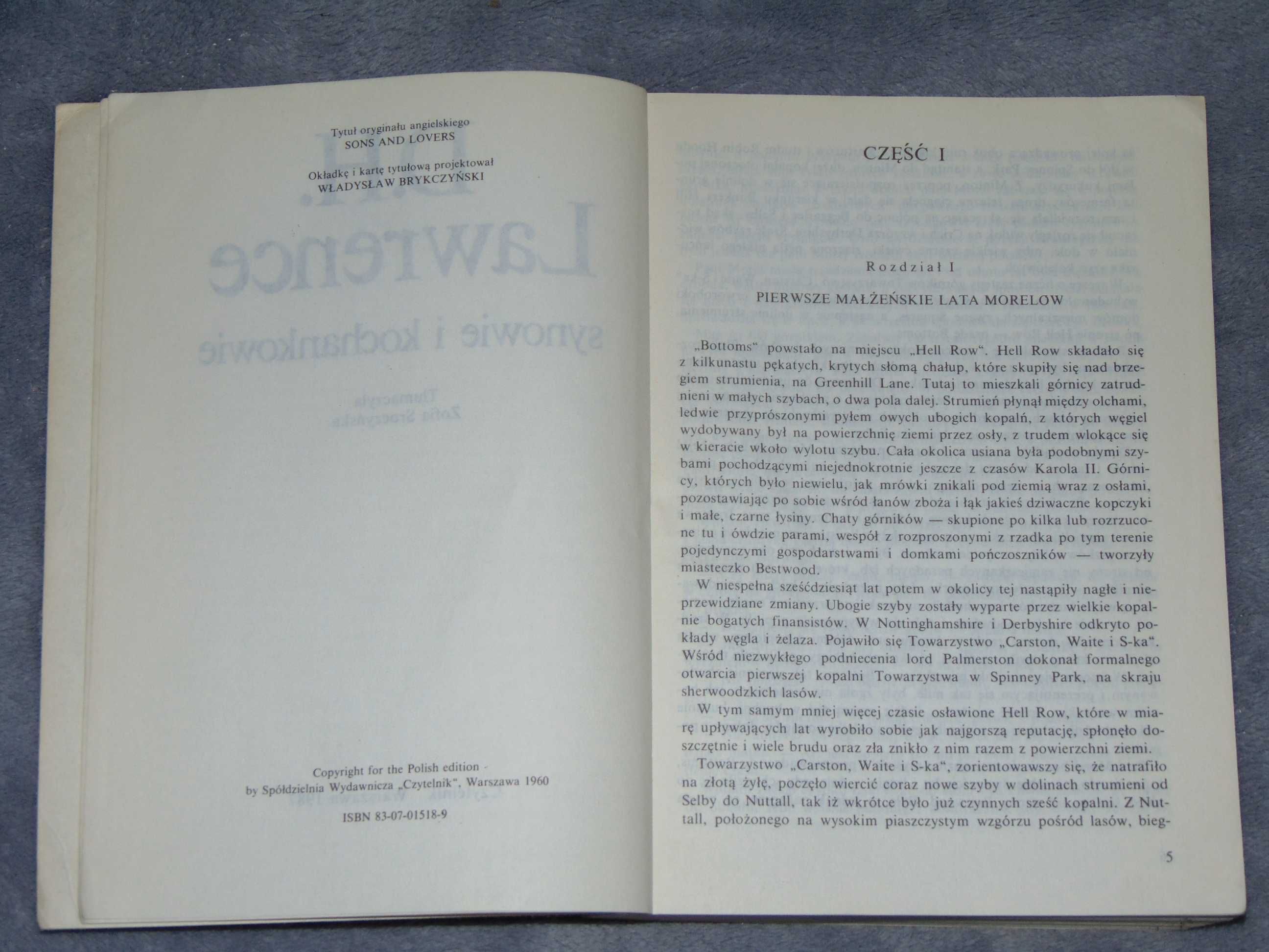 Synowie i kochankowie - David Herbert Lawrence