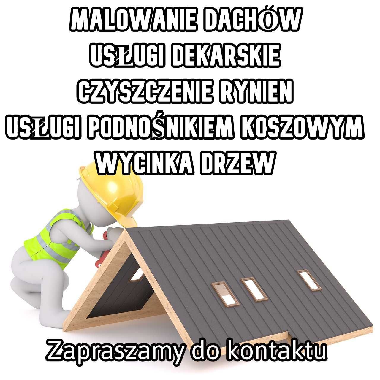 Malowanie Naprawy Mycie Czyszczenie DACHÓW / RYNIEN  Usługi dekarskie