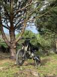 Pit bike Malcor 160