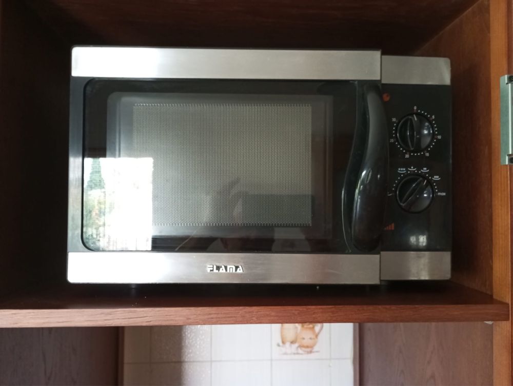 Microondas Flama