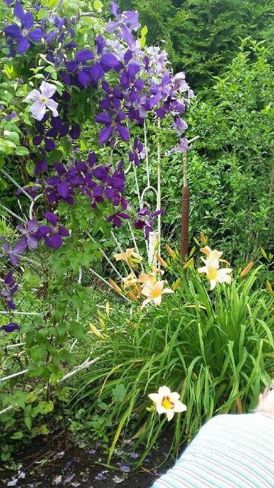 Pilnie sprzedam ogródek działkowy ROD RAJ