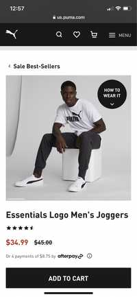 Спортивні штани Puma Essentials Logo Joggers графіт XXS