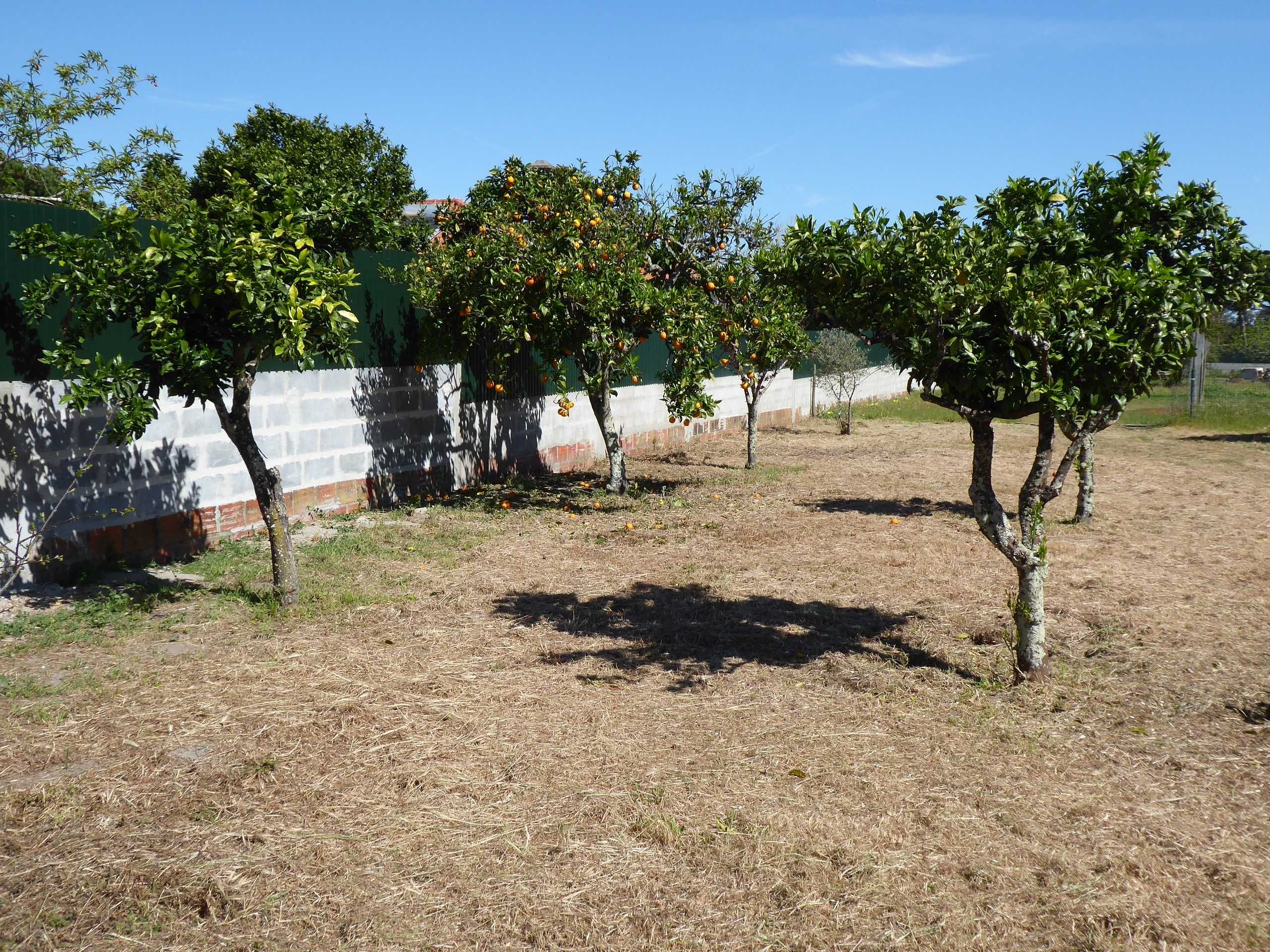 Terreno para construção 820 m2