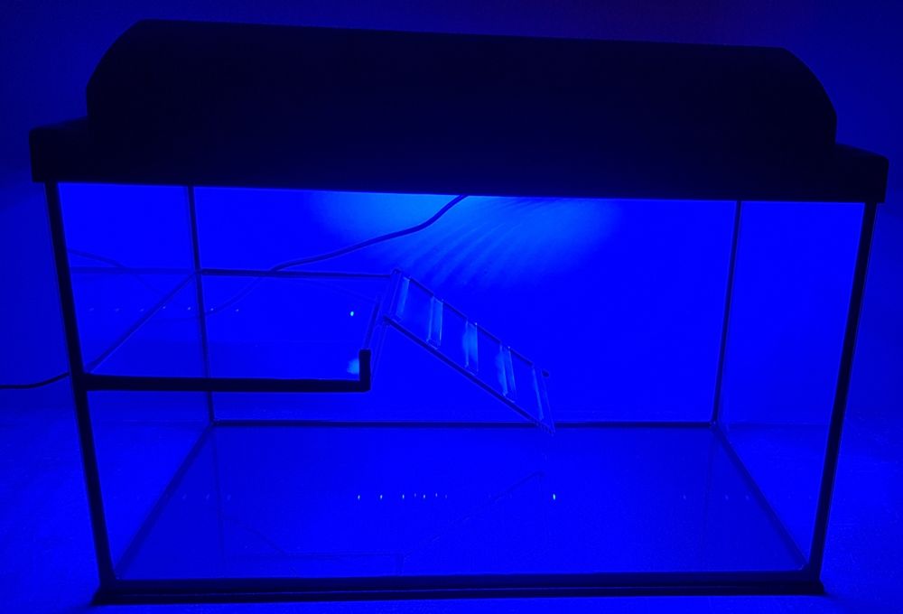 Terrarium dla żółwia wodnego 50