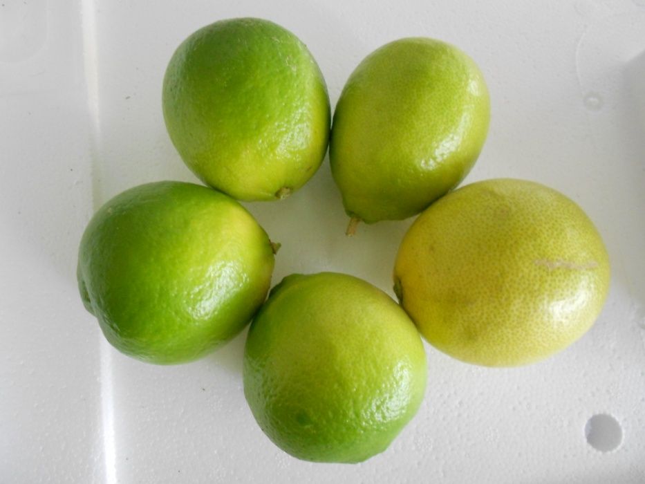 Limas Fruto Tipo Biologicas Entrega