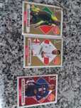Coleção  panini mundial