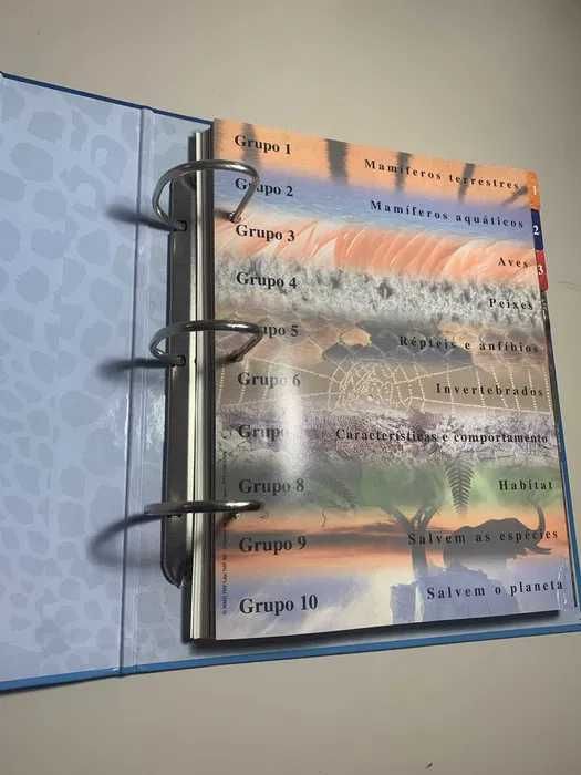 O Fascinante Mundo animal