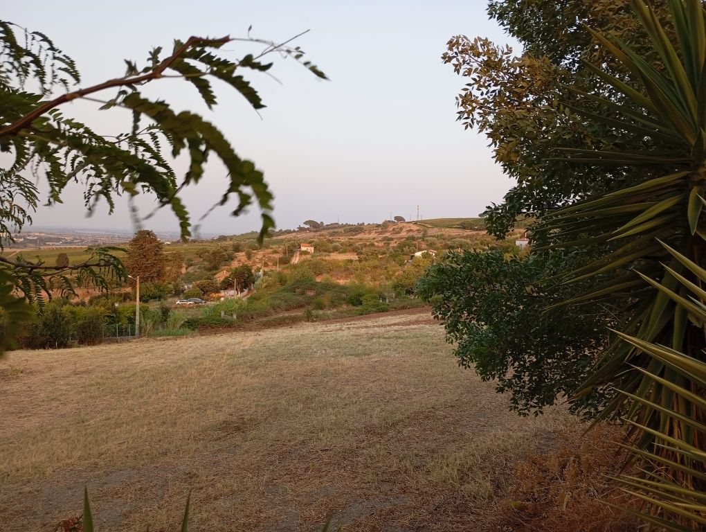 Arrendamento de terreno para Pasto- 5000 m2