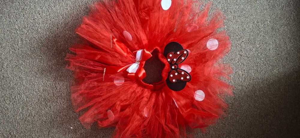 Фатинова спідничка на свято.крила ангела