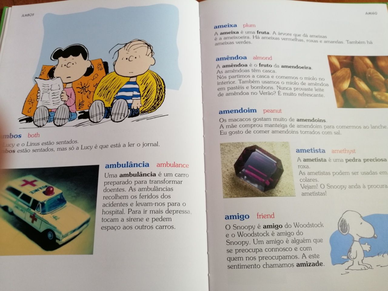 Dicionário inglês Charlie Brown