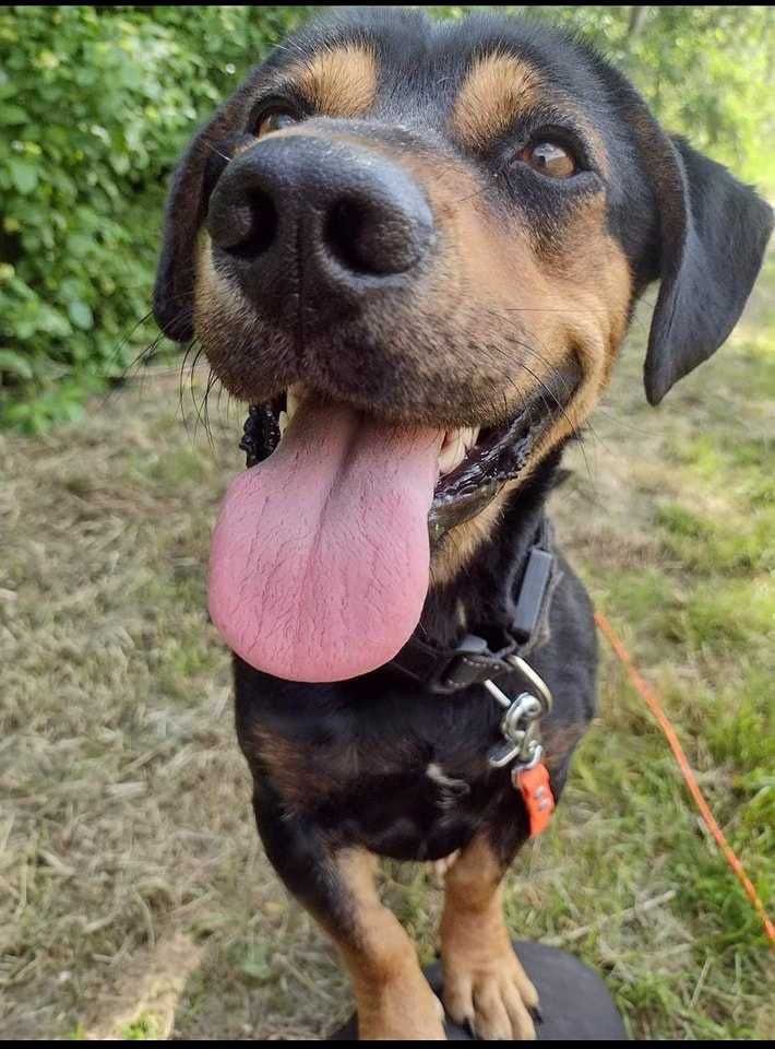 Kiwi poleca się do adopcji :)