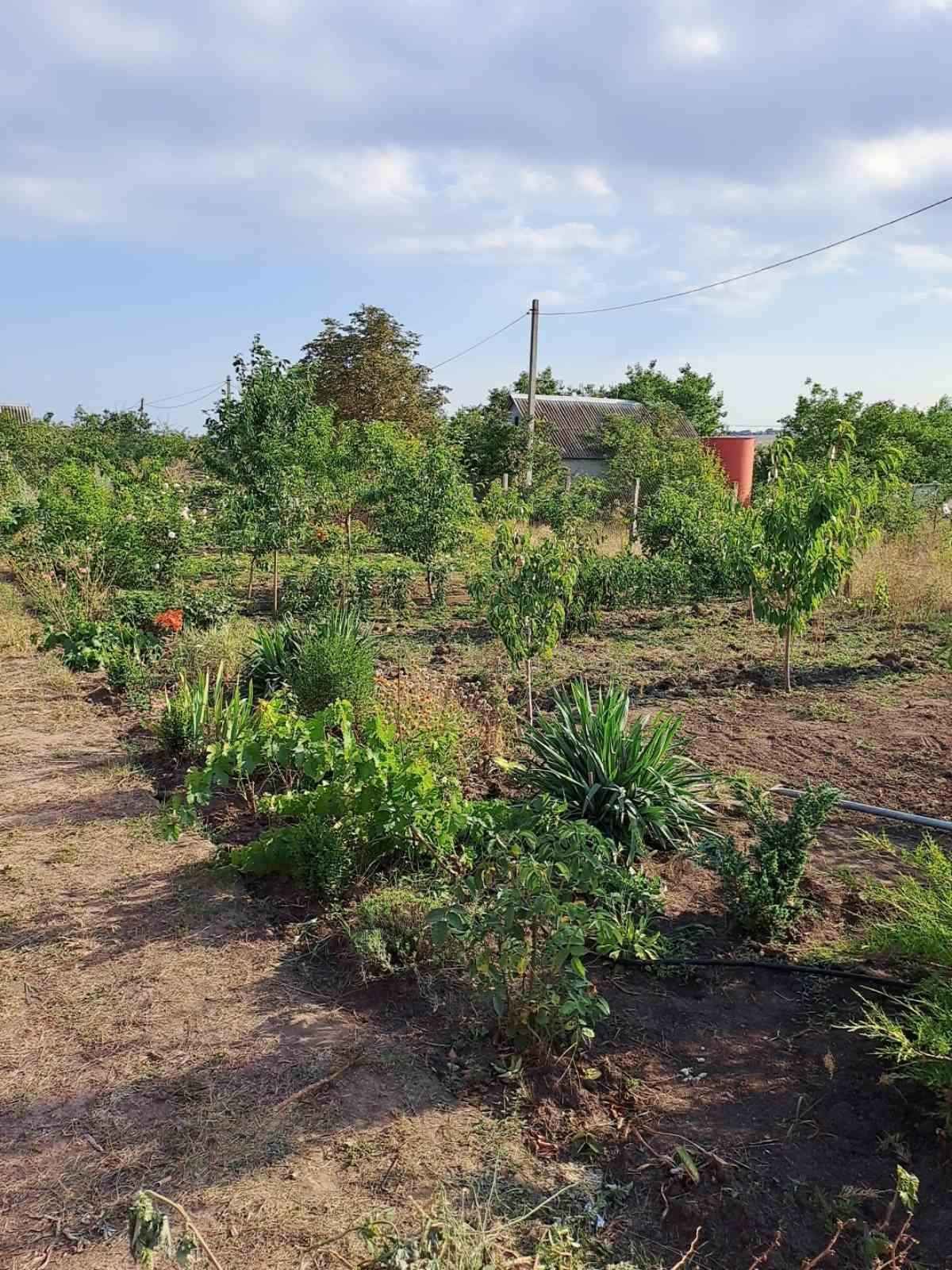 Продам дачу возле лимана