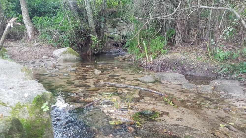 Terreno junto a ribeiro - Abrunhosa A Velha - REDUÇÃO VALOR