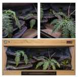 Terrarium 100x50x60 dla węża