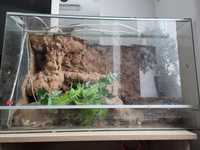 Terrarium 50x60x100