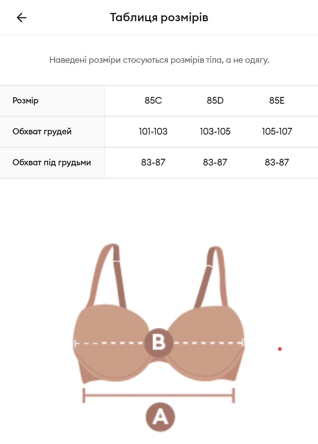 Бюстгальтер Sinsay, 85C
