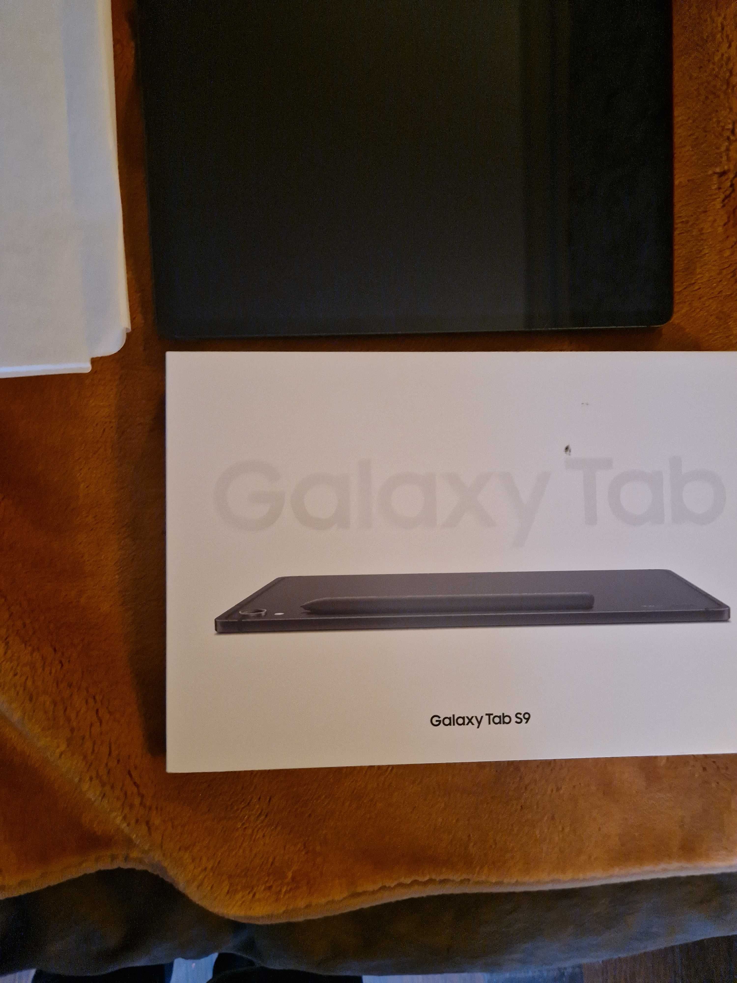 Планшет Samsung Galaxy Tab S9 WIFI,8/128 GB