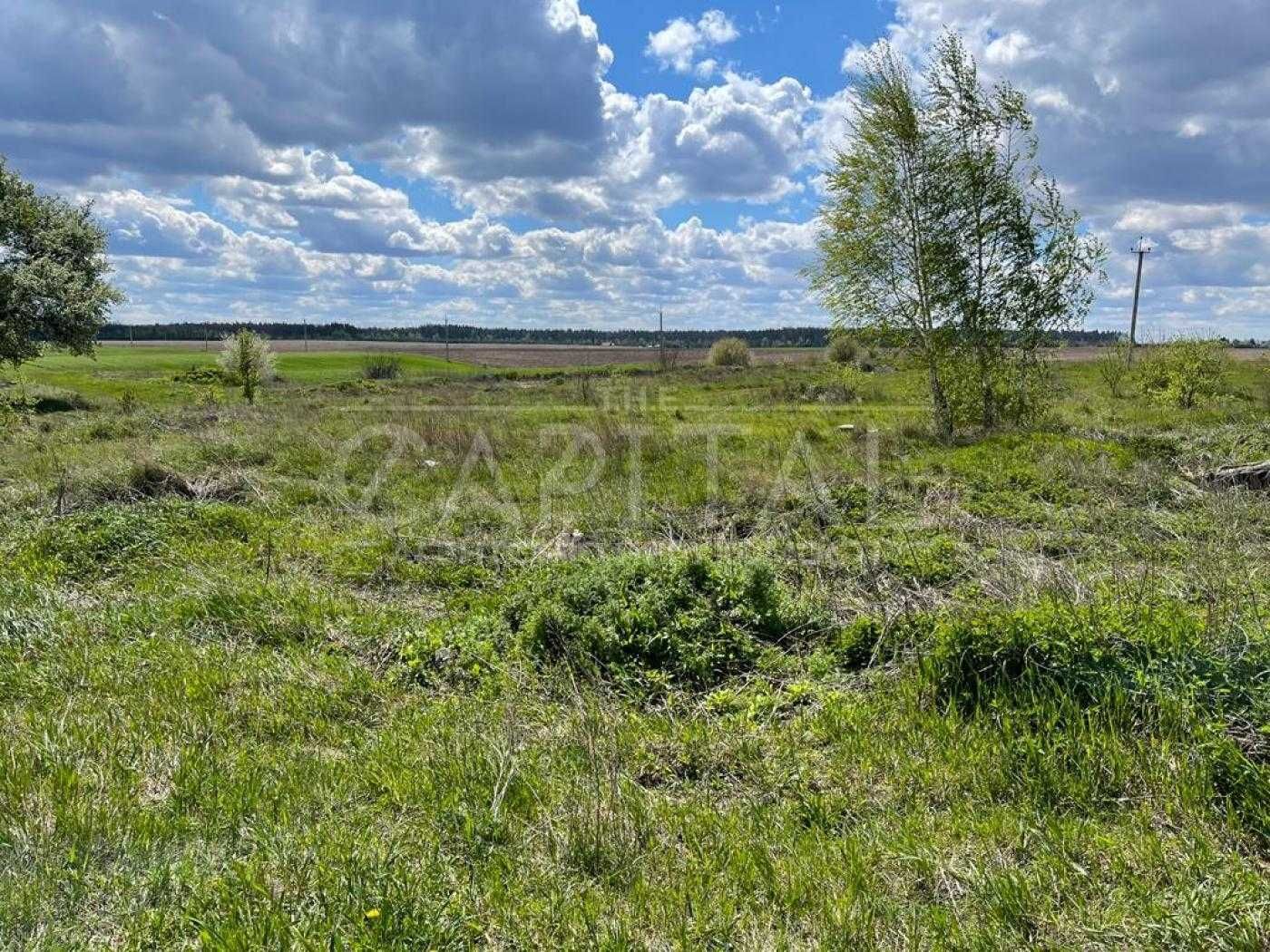 Продаж ділянки, 205 соток, с. Ясногородка, Макарівський р-н
