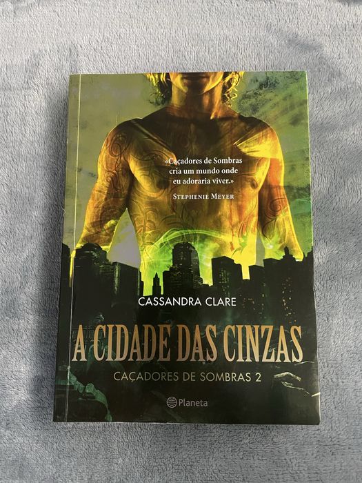 Livro a cidade das cinzas
