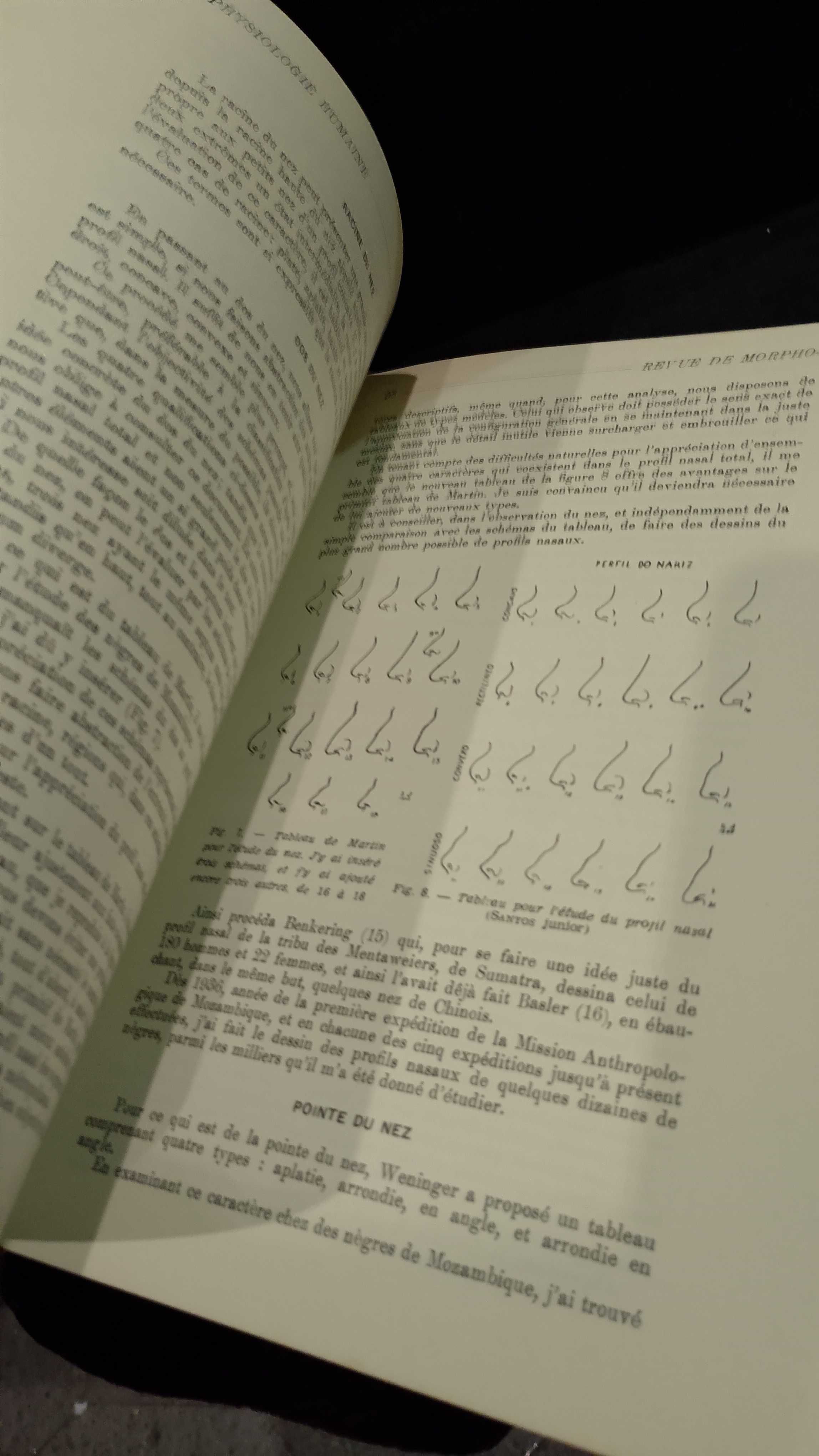 Précisions à l'appréciation de caractères descriptifs en Anthropologie