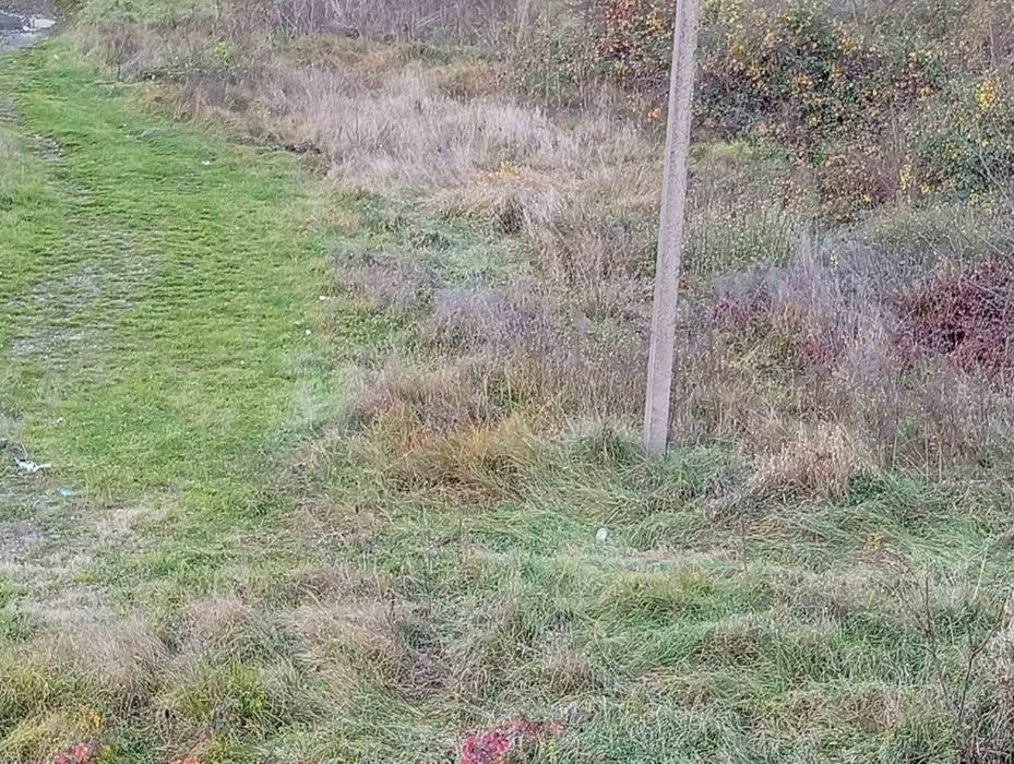 Продаю земельну ділянку у селі Сусково Закарпатської області