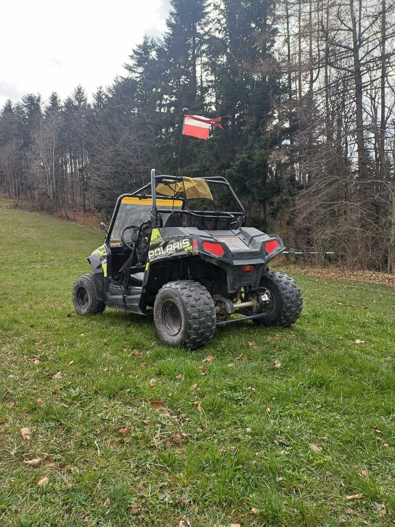 Buggy Polaris RZR 170